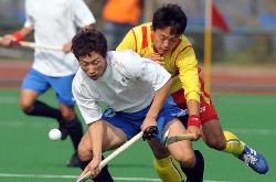 体育直播-男子排球决赛激烈对抗，意大利队夺冠