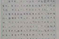 直播平台-观众心目中的英雄，绽放荣光