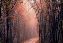 足球直播-切尔西力克克罗地亚,布鲁诺统治全场:引领蓝军的闪耀之夜