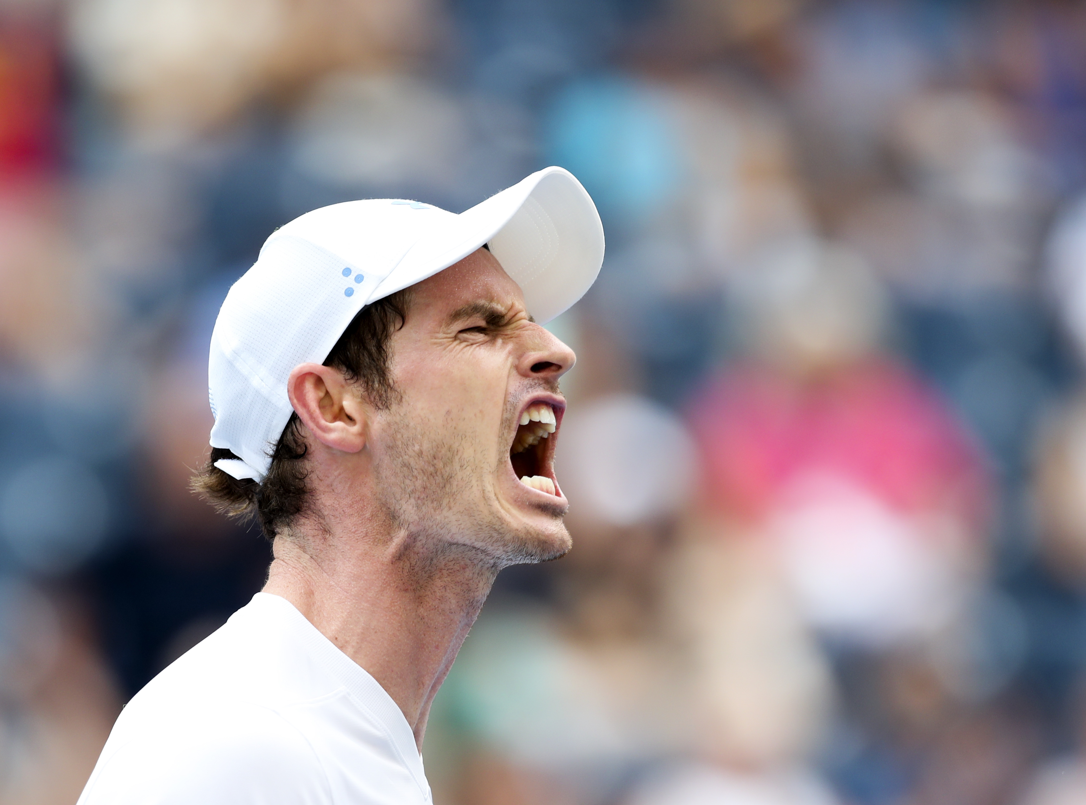 美网翻盘戴维斯杯，穆雷高光表现